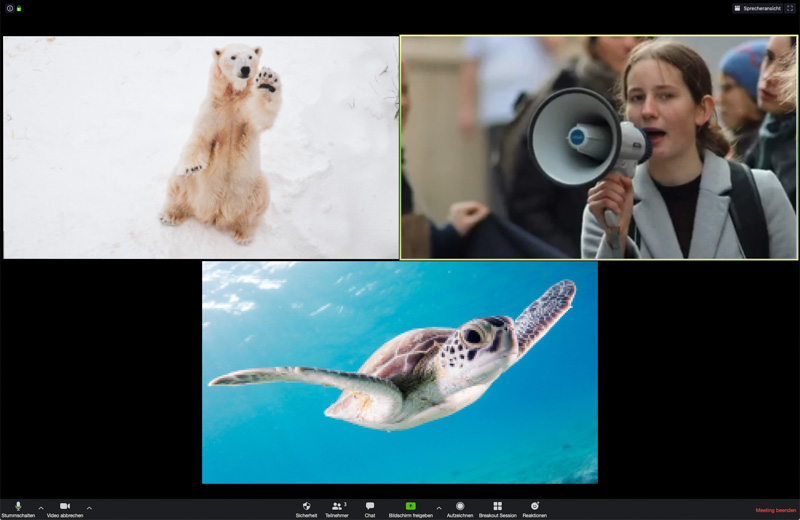 Eine Videokonferenz mit einem Eisbär, einer Schildkröte und einer Frau mit Megaphon.