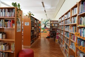 Bibliothek, braune Regale mit Büchern