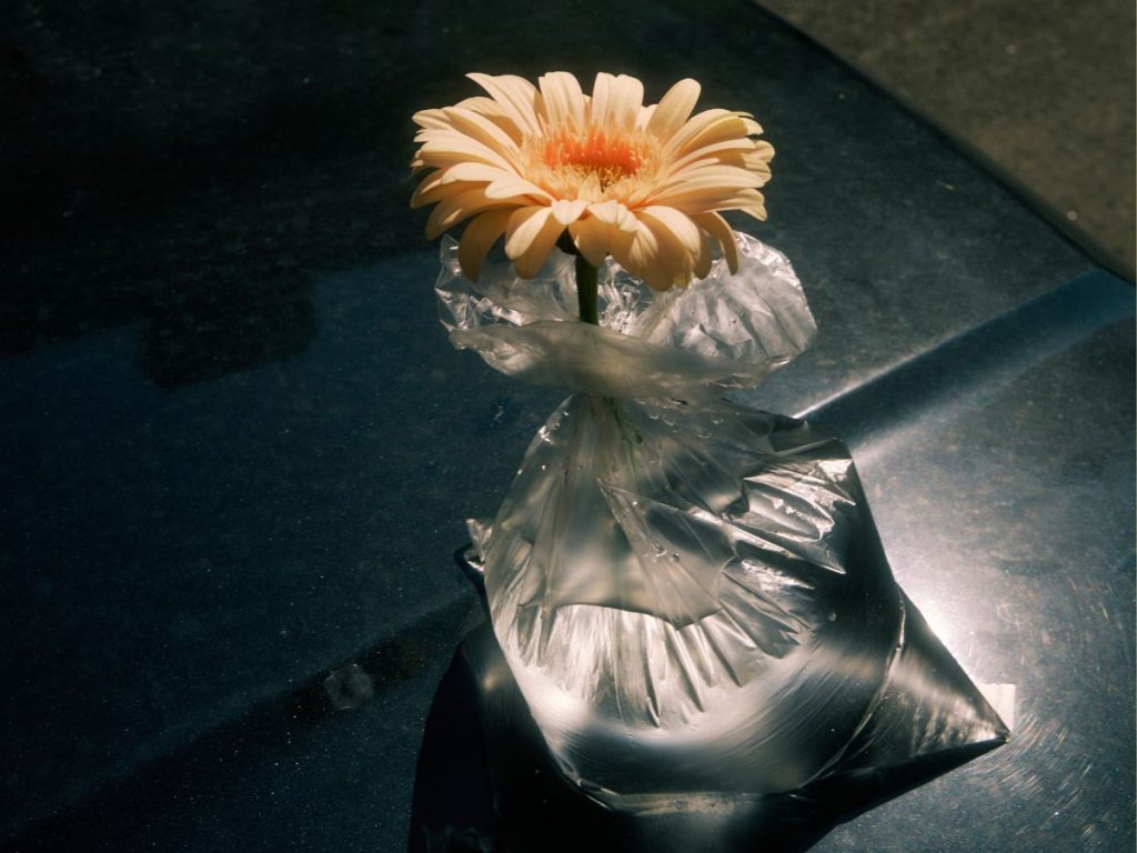 Eine Blume steht in einem Plastiksack, der mit Wasser gefüllt ist. Der Sack vermittelt den Eindruck einer Vase.