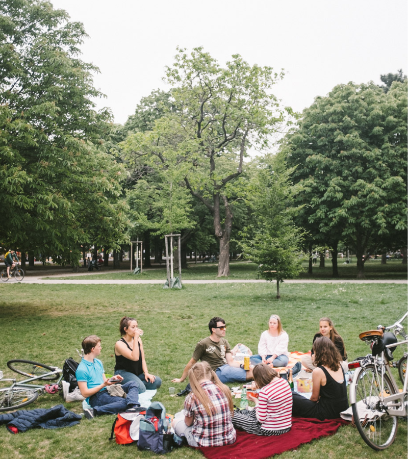 Das Team von andererseits bei dem online-Stellen der WEbsite. Fünfzehn Menschen sitzen in einem Park, der Himmel ist blau.